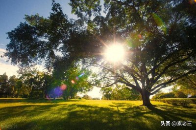 ​静安的围城-被激怒的女人（40）