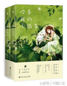 ​10本温馨浪漫甜宠文推荐