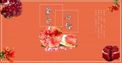 ​蒙自石榴的简介