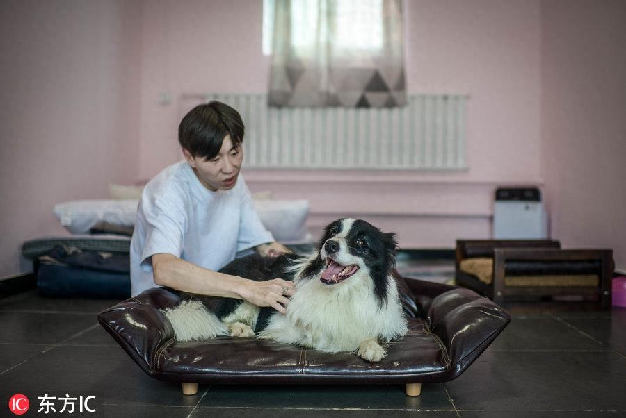 80后男孩从叛逆青年到励志店主 京郊建8600平米狗狗乐园报恩