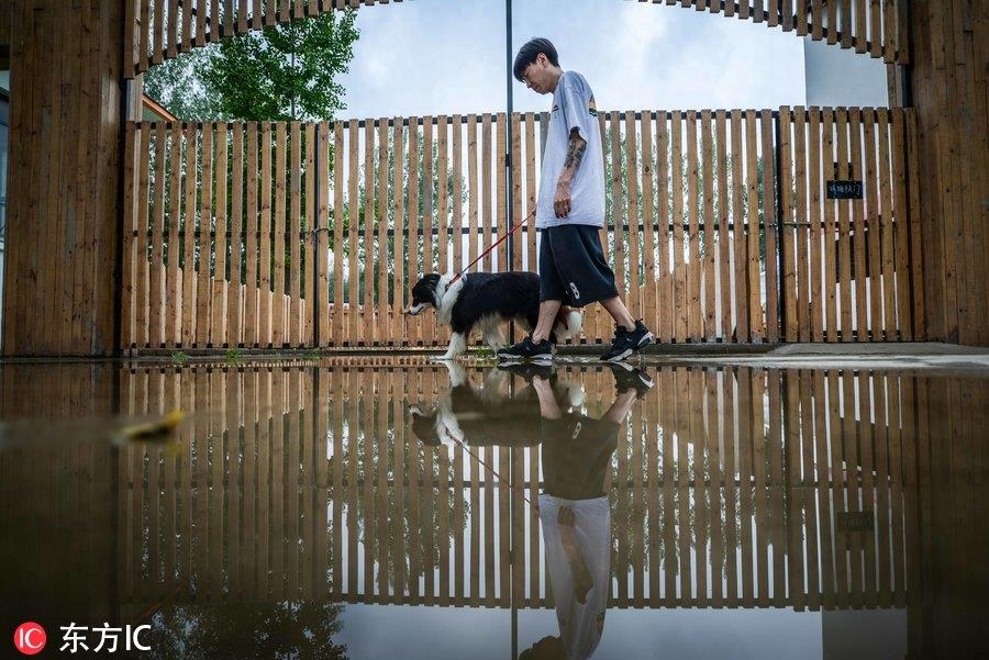 80后男孩从叛逆青年到励志店主 京郊建8600平米狗狗乐园报恩