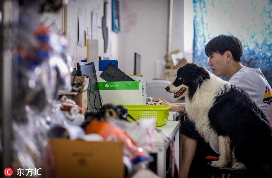 80后男孩从叛逆青年到励志店主 京郊建8600平米狗狗乐园报恩