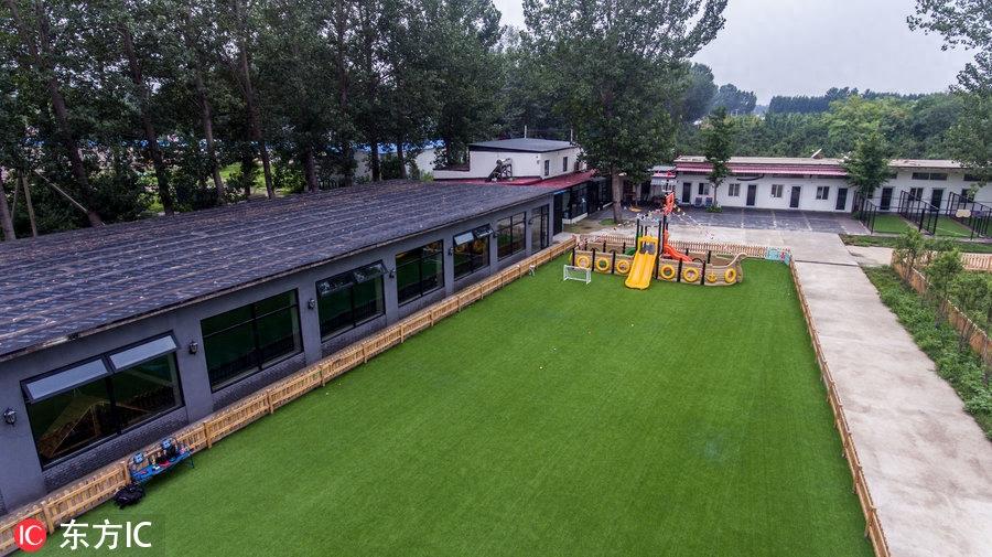 80后男孩从叛逆青年到励志店主 京郊建8600平米狗狗乐园报恩