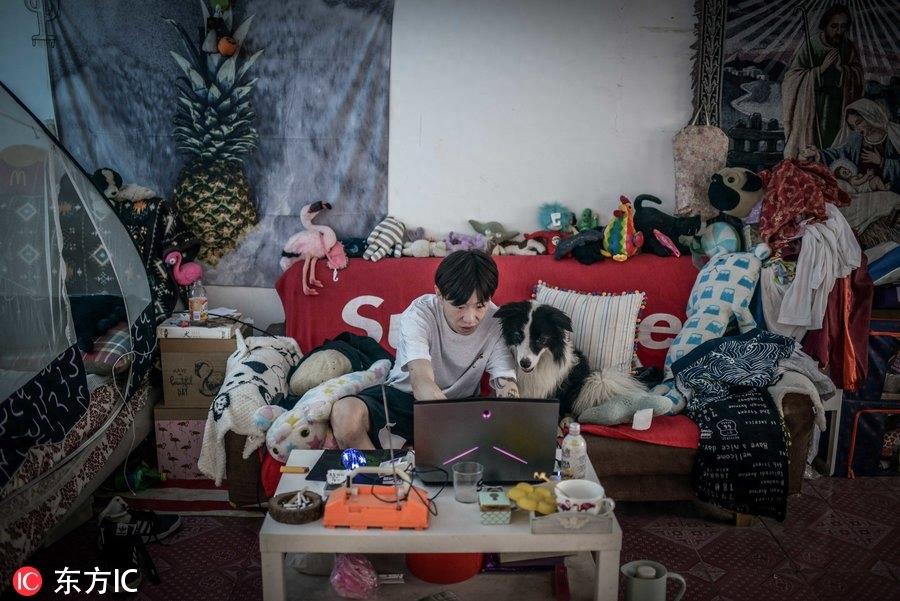 80后男孩从叛逆青年到励志店主 京郊建8600平米狗狗乐园报恩