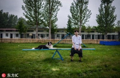 ​80后男孩从叛逆青年到励志店主 京郊建8600平米狗狗乐园报恩