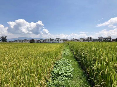 ​为了不让孩子成为留守儿童，我做了留守妇女，最后换来一张离婚证