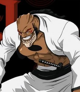 ​聊聊死神中的杀戮兵团-十刃