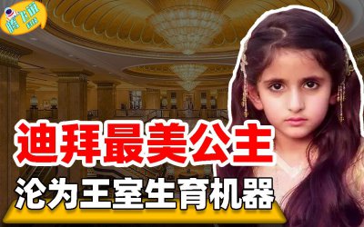 ​迪拜最美公主！容颜折服全球男人，18岁沦为政治工具多次出逃被抓