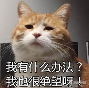 ​柬埔寨｜致菠菜从业者：有更好的出路，一定要早日脱身，不要留恋