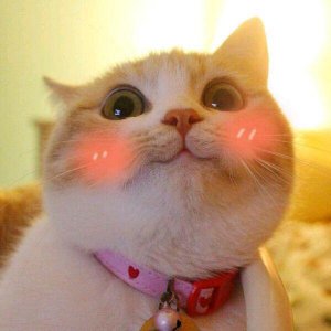 ​从唐诗宋词里找到最好听的100个名字