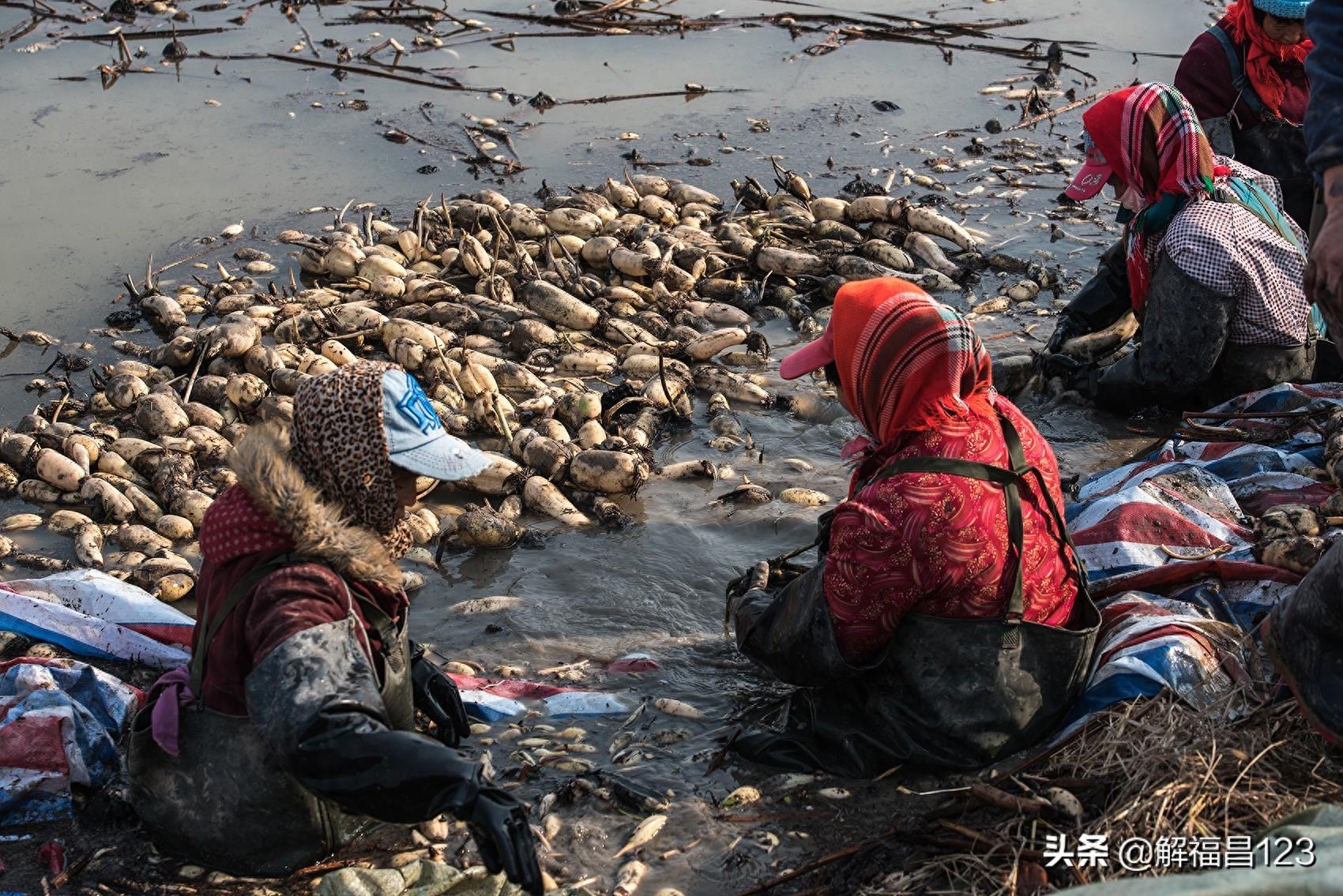 母亲最伟大，这一组母亲图片更能彰显母爱，非常珍贵，看看吧