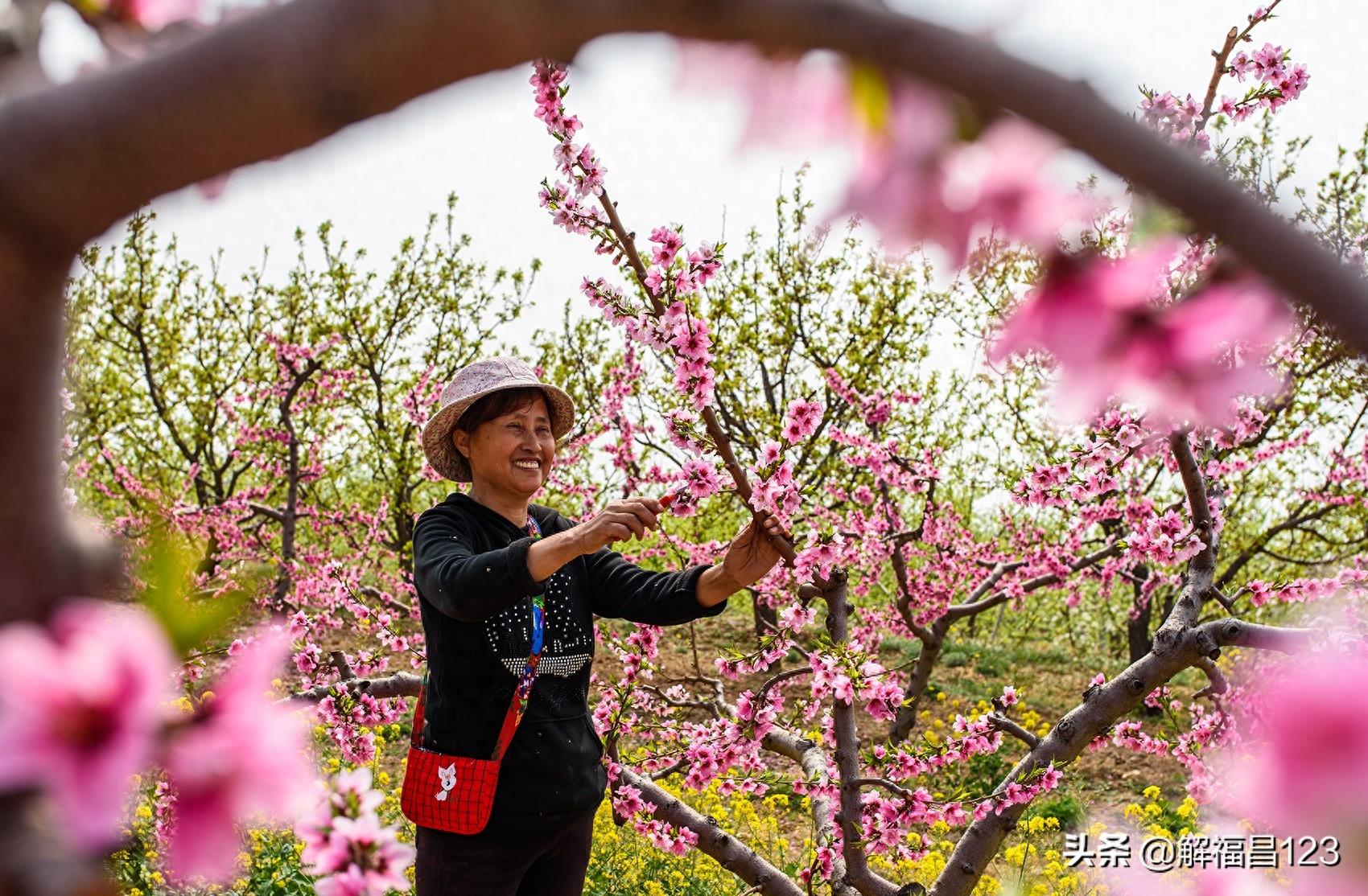 母亲最伟大，这一组母亲图片更能彰显母爱，非常珍贵，看看吧