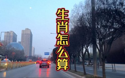 ​属相究竟从立春算，还是从大年初一算？这还真是应该注意的问题