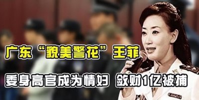 ​广东“最美警花”王菲敛财过亿，与86位高官有染，随身携带安全套