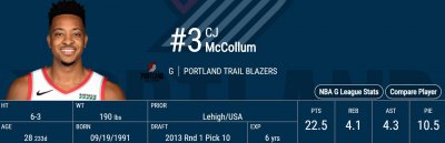 ​深度：麦科勒姆攻守均衡，是球队最强二把手，能力出众却成遗珠