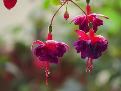 ​身处低谷，最能看清一个人