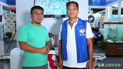 ​极品蝶尾金鱼，不看后悔！真不愧为国粹！萌萌哒！