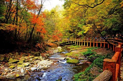 ​陕西最值得去玩的地方之一《黎坪国家森林公园》