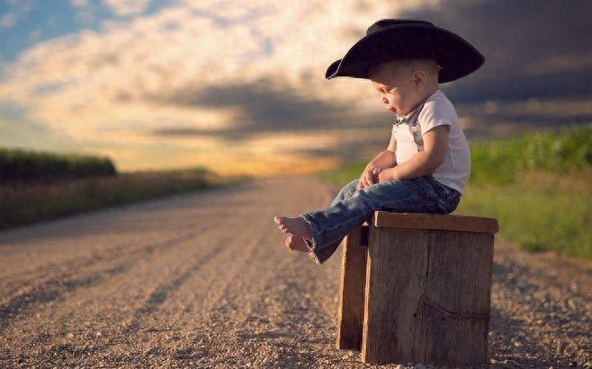 猪居然是世界上最聪明的动物之一，你知道吗？