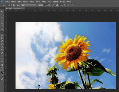 ​超详细ps通道抠图教程来了！这篇文章一定要收藏！