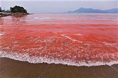 ​红海、白海、黄海、黑海、绿海分别在哪里？