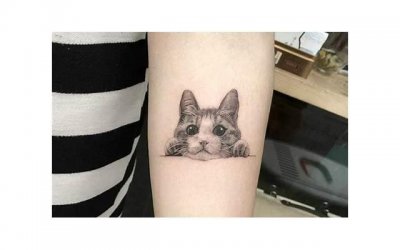 ​出轨男人脑疯期老婆应该怎样做