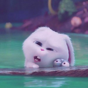 ​爱宠大机密 最可爱的小兔子头像