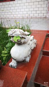 ​情人节//亲人节