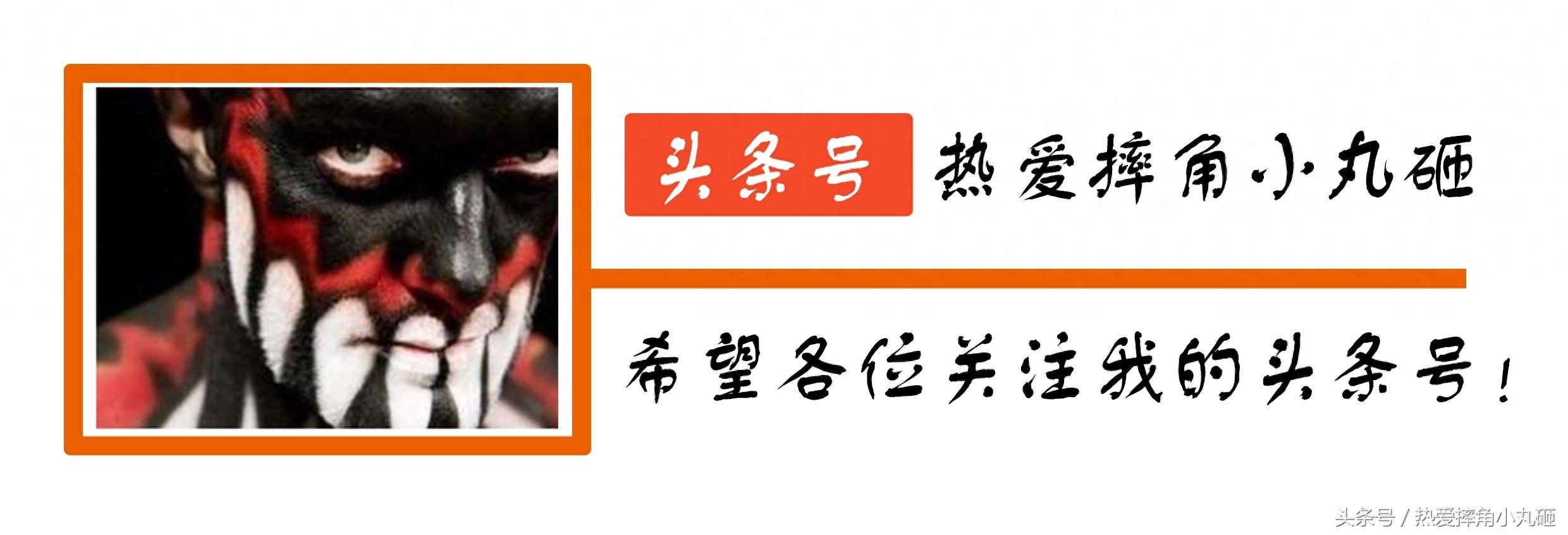WWE巨星标志性的LOGO，见到它就等于他来了！