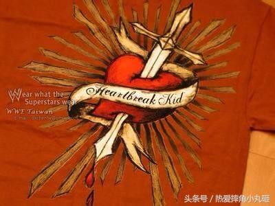 WWE巨星标志性的LOGO，见到它就等于他来了！