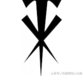 WWE巨星标志性的LOGO，见到它就等于他来了！