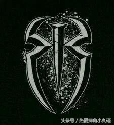 WWE巨星标志性的LOGO，见到它就等于他来了！