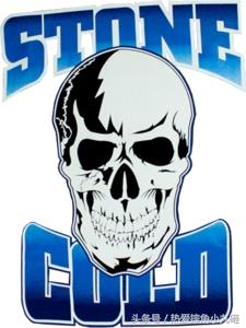 WWE巨星标志性的LOGO，见到它就等于他来了！