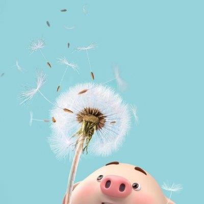 猪年头像可爱卡通图片大全