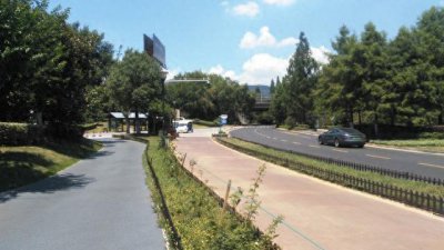 ​南京的法国梧桐你见过吗？带你们去看看啦