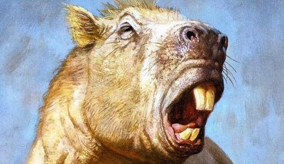 ​世界上最大的动物有哪些？