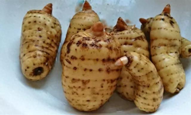 云南最具名气的十大特产