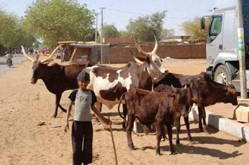 世界最穷国家前十名，第一名人均只有八毛钱