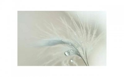 ​吃饭女生主动买单说明什么，她不想欠你人情(女生请你吃饭主动买单)