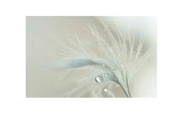 吃饭女生主动买单说明什么,她不想欠你人情(女生请你吃饭主动买单) 吃饭女生主动买单说明什么,她不想欠你人情(女生请你吃饭主动买单)