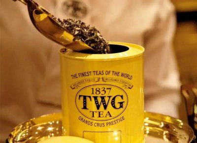 ​名牌茶中的爱马仕！TWG Tea新加坡奢华茗茶品牌设计整合