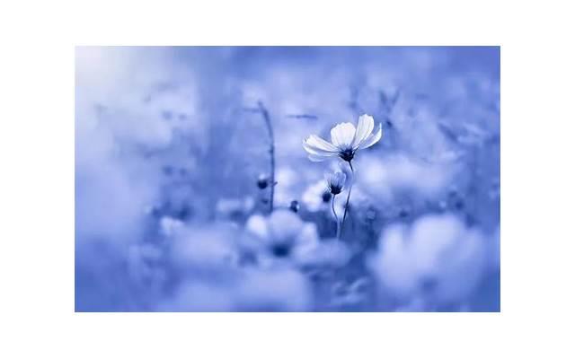 女生说对你没感觉什么意思 女生说对你没感觉怎么办？