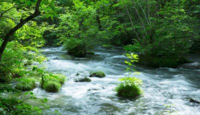 ​青森市避暑胜地