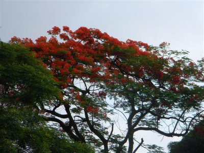 ​该死的懦弱，有感