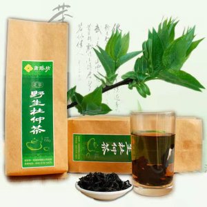 ​极其稀有的张家界杜仲茶真的是个骗局吗？看完你就知道了