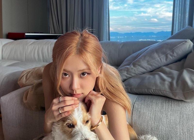 分手后如何挽回女友？这些话一定要说