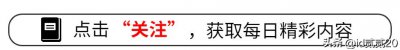 ​何猷君：不仅是赌王之子，更是商界跨界新宠的传奇风云人物