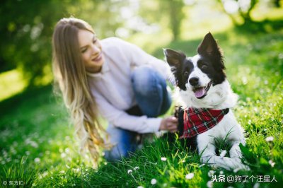 ​正确遛狗的方法？3点让你更明白！
