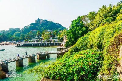 ​dandelion红酒品牌(danese红酒价格)