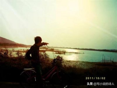 ​泰山大观浓香型价格(泰山大观酒42度浓香型多少钱)